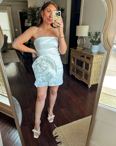 Alexis Mini Dress