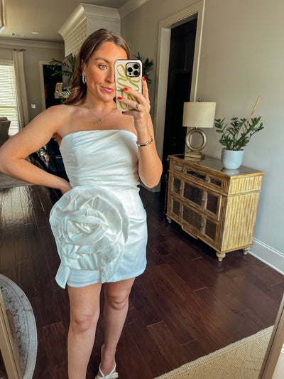 Alexis Mini Dress