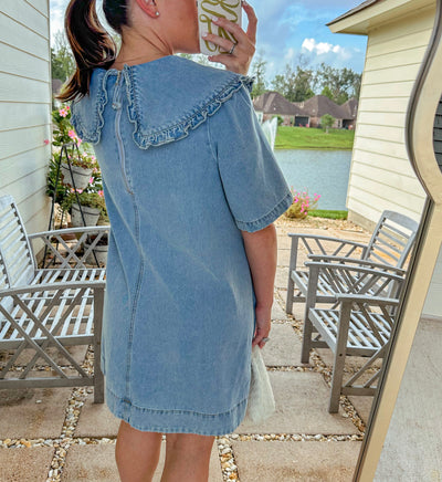 Odette Denim Mini Dress